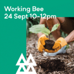 Dig in! Te Hononga a Iwi Working Bee