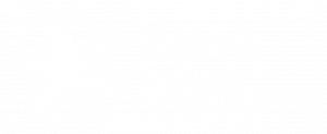 Spark Business Logo White